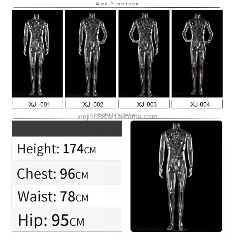 XINJI ファッション プラスチック ABS 透明 3Dモデル ヘッドレス 男性