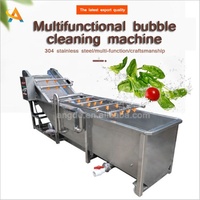 Fabriek die machines voor het reinigen en steriliseren van groenten en fruit levert