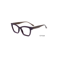 Montures de lunettes optiques carrées modernes en acétate TR, épaisses, à monture complète, unisexe, pour verres correcteurs, OEM ODM
