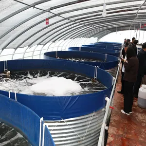 RAS indoor high density fish and shrimp farming tanks other aquaculture equipment galvanized corrugated ponds
