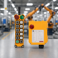 F24-12D Remote Control Radio Nirkabel Industri Bersertifikasi CE 12 Tombol Kecepatan Ganda untuk Overhead Crane Hoist