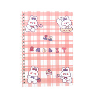 A5 bobine livre dessin animé mignon école primaire étudiant cahier côté souple portables cahiers en gros