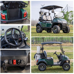 Bestselling Products Best-selling Supply Country Villa & Leisure Resort Battery Powered Dual <b>Passenger</b> <b>2</b>-seat Golf Car - Product Image 4