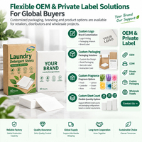 Feuilles de lessive jetables OEM d'usine pour nettoyage en profondeur, conception de boîte personnalisée, super concentrées, faible mousse, portables pour vêtements