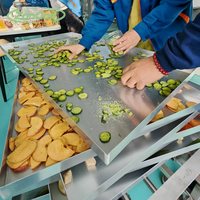 Grote schaal vacuüm-vriesdroger koffiebonen mango's bananen lente-uitjes instant pap huisdierensnacks vis rundvlees curry fruitstukjes