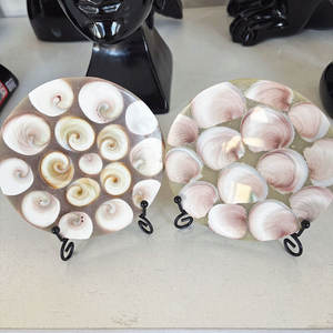 Cristales de Concha Fósil Tallados, Piedras Curativas, Placa Redonda de Concha Fósil en Venta, Novedad en Oferta - Product Image 3