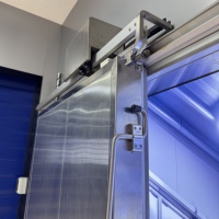 Puerta Corredera Eléctrica para Cuarto Frío, Aislamiento de Espuma de PU, Anticongelante, Puerta Corredera para Almacenamiento en Frío, Tamaño Personalizable