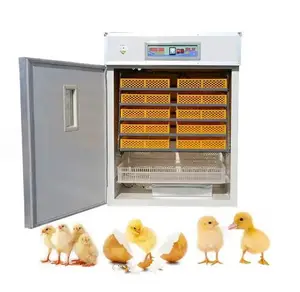 Incubatrice industriale per pulcini e schiusa prezzo automatico della schiusa dell'uovo di gallina in egitto