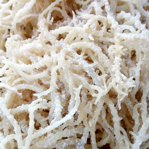 ALGA EUCHEUMA SPINOSUM SECADA DE ALTA CALIDAD PARA EXPORTACIÓN DESDE VIETNAM AL MEJOR PRECIO - Product Image 1