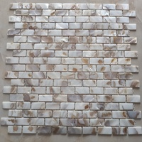 Mosaïque de coquillages beige moderne, nacre naturelle, carreaux pour décoration murale intérieure, salles de bain d'hôtel, résistants à l'eau, 5 ans