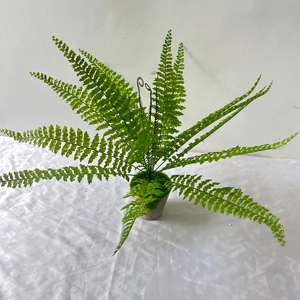 Arbustes artificiels de <span class=keywords><strong>feuillage</strong></span> de fougère de Boston en plastique vert décoration de fête de ferme de bureau de jardin de maison pour l'usage d'intérieur et extérieur - Product Image 3