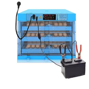 Incubadora automática de huevos para loros, coupé de ovoide, volteador, precio en Nepal