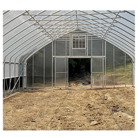 Serre hydroponique agricole tente en plastique monocouche avec acier et PE carré petit grand tunnel de tomates pour les serres
