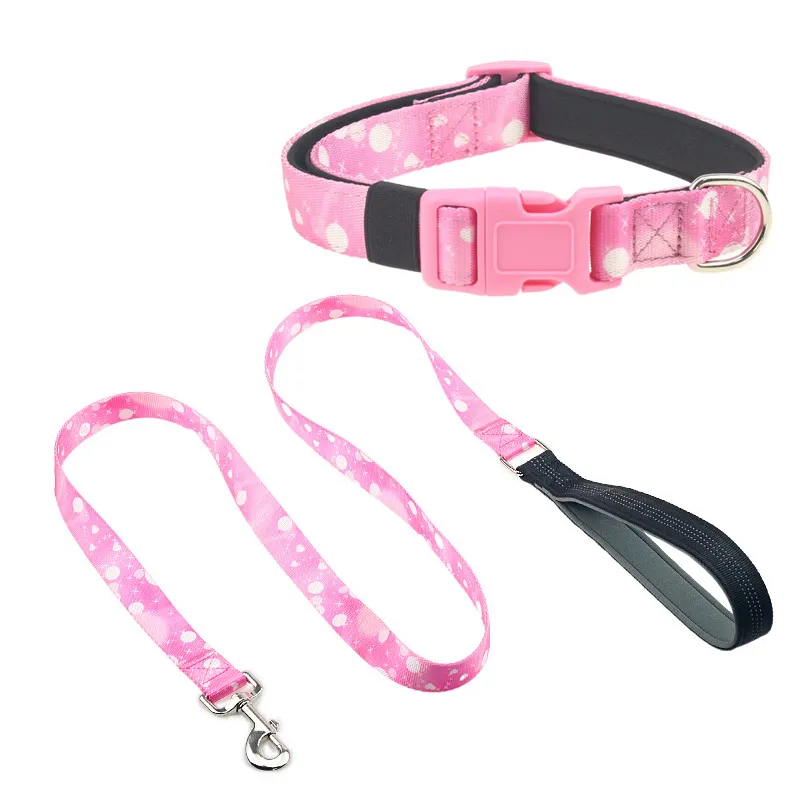 Correa de nailon resistente para entrenamiento de mascotas, juego de Collar de plomo con logotipo personalizado, resistente y duradero, para perros y gatos, venta al por mayor