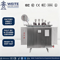 Transformateur de puissance triphasé immergé dans l'huile 11kV 1000kVA, bobinage en cuivre, faible perte, 50/60Hz, IP54, certifié ISO9001 CE