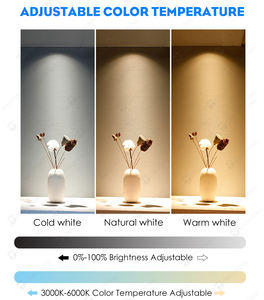 Nouveau Design d'intérieur 220V Smart Tuya Wifi 25Mm 2 fils projecteur linéaire lampe à large faisceau Led magnétique Rail lumière pour plafond extensible - Product Image 6