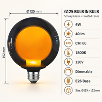 Usine directe nouveau Design double ampoule verre clair givré G40 G125 lampe à LED 120V E26 sans scintillement verre fumé ampoule en verre ambré
