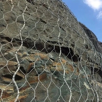 Grillage Gabion en fil de fer galvanisé, cage hexagonale sur mesure 100x120mm, anticorrosion, durable, pour murs de soutènement de rive