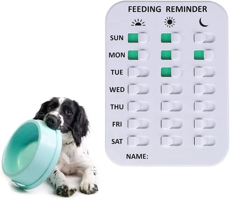 Amazon Hot Sale 3 Times a Day Pet Feeding Reminder Magnetic Reminder Sticker Dog Feeding Chart