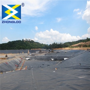 Bán buôn nhựa tấm thoát nước chống thấm bảng thoát nước <span class=keywords><strong>geomembrane</strong></span> cho ao lót đập - Product Image 6