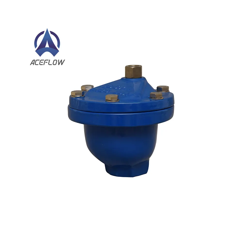 DN15 DN20 DN25 Fonte ductile QT Échappement automatique PT Vissé Évents à simple dégagement d'air Valve