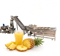 Koudgeperste natuurlijke sapverwerkingslijn voor de productie van vers fruitnectar met een zacht extractiesysteem