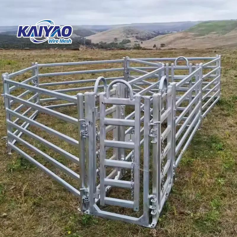 Mercato australiano bovini ovini recinzione di sicurezza pannelli economici in acciaio zincato recinzione da giardino rivestimento in PVC recinzione animali da fattoria