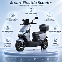 Trottinette Électrique SG-BY 1000W 60V 20AH pour Adultes, Vélo Électrique de Banlieue 50KM/H avec LED, Vente en Gros Direct Usine OEM