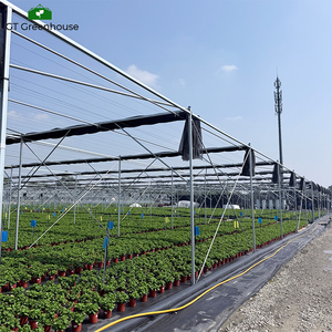 Serra ombreggiante con telaio in acciaio zincato a caldo GT <span class=keywords><strong>per</strong></span> coltivazioni agricole - Product Image 6