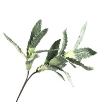 AR-524 ZUOYI EVA Mousse Fleur Série Plante Artificielle Feuille Protea Berry Fruit Fleur Pour Fleurs Sèches