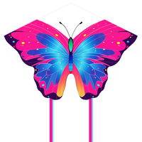 Cerf-volant personnalisé en polyester léger et durable, écologique, bleu rose, en forme d'étoile et de papillon, pour enfants et adultes