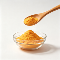 Poudre de Riboflavine (Vitamine B2) de Qualité Alimentaire CAS 83-88-5 Ingrédient Nutritionnel en Vrac