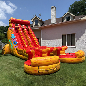 Vente en gros : Nouveau design Toboggan aquatique gonflable Dolphin à double piste Blue Crush avec deux piscines de plongeon pour enfants et adultes - Product Image 2