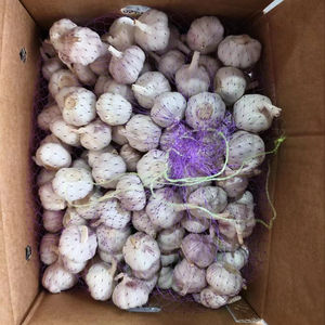 Tüm satış beyaz sarımsak/sarımsak/hint sarımsak 2025 - Product Image 1