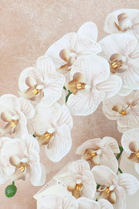 Orquídea Artificial de Alta Calidad con 8 Cabezas, Tacto Realista, Látex Blanco, Decoración de Lujo para Bodas - Product Image 3