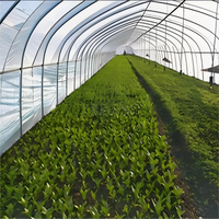 Kit de serre en acier galvanisé à simple travée avec film PE, 8x30m, structure de culture commerciale pour légumes, montage facile