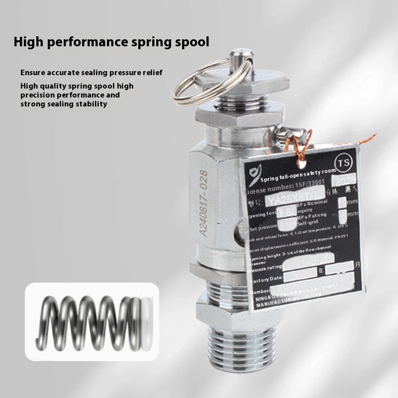 Customizable Autoclave Safety Valve for Medical