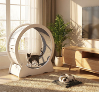 Nouveau Tapis de Course Silencieux pour Chat en Bois Massif, Design Moderne de Luxe, OEM/ODM, avec Tapis Remplaçable, pour Sport et Fitness en Intérieur, Emballage Carton