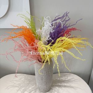 Bouquet de fleurs séchées Secret Garden Long Spike Fireworks 85cm Décoration de mariage et de maison - Product Image 2