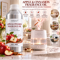 Parfum Pomme-Cannelle Hydrosoluble pour Humidificateur, Diffuseur de Brume Fine et Produits d'Arôme Domestique – Vente en Gros, Fournisseur OEM ODM