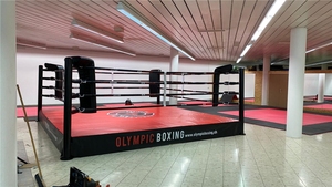 Coussinets de protection d'angle pour cordes de <span class=keywords><strong>ring</strong></span> de MMA, tapis de sol déroulables pour <span class=keywords><strong>ring</strong></span> de <span class=keywords><strong>boxe</strong></span>, pour usage enfant, pour <span class=keywords><strong>ring</strong></span> de <span class=keywords><strong>boxe</strong></span> 4x4, prix de gros - Product Image 6