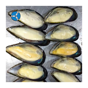 SANFENG SEAFOOD: Cozze Congelate a Mezza Conchiglia Affidabili per Supermercati e Servizi di Catering in Malesia - Product Image 4