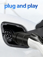 Adaptateur de charge rapide CC GBT vers Tesla EV 32A 250V pour Tesla Model 3 Y S X GB/T 20234 10000 Cycles