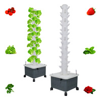 Vertical Aeroponics Tower for Lettuce Strawberry