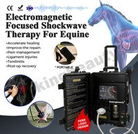 Appareil de thérapie par ondes de choc pour chevaux, machine à ondes de choc ciblées pour chevaux, pour soulager la douleur et favoriser la récupération musculaire, ondes de choc focalisées, OEM ODM personnalisé