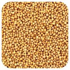 100% poudre de graines de moutarde d'aliments biologiques meilleur prix en gros de haute qualité tambour d'approvisionnement culture sauvage graines de moutarde déshydratées - Product Image 4