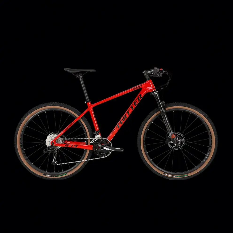 WERNER-Cuadro de bicicleta de titanio touring xc, 29er, mtb, 2021