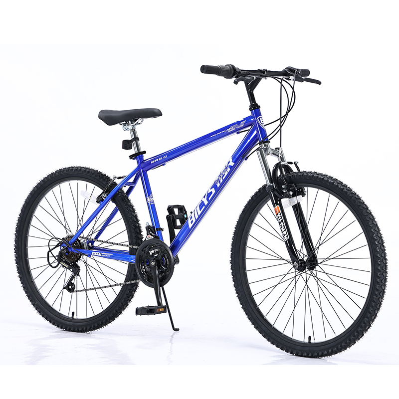 ll bean womens bicycle 26" L.L. Acadia Cruiser LG FirstFlightBikes Facebook Magna Equator Mountain Bike