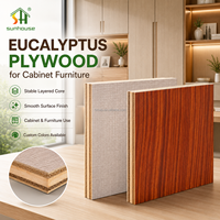 Contreplaqué mélaminé eucalyptus 18 mm 4x8 pour portes d'armoires de cuisine commerciales et projets de mobilier