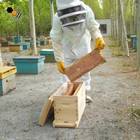 Mini-ruche en bois Langstroth à 5 cadres pour reproducteur d'abeilles